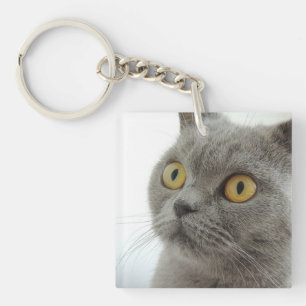 cat key ring