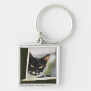 Cat Key Ring