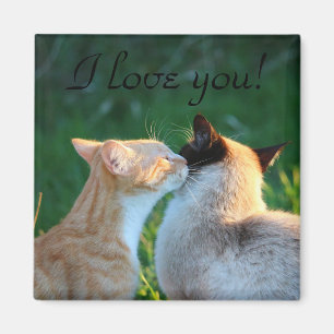 Cat kiss cat lovers magnet