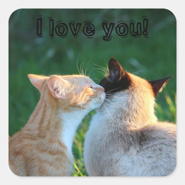 Cat kiss cat lovers square sticker (Front)