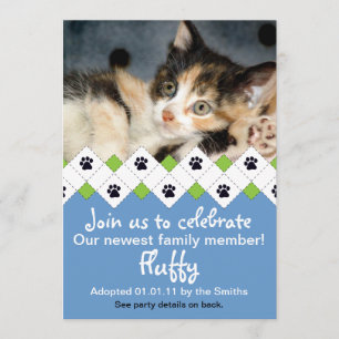Cat/Kitten Adoption Announcement