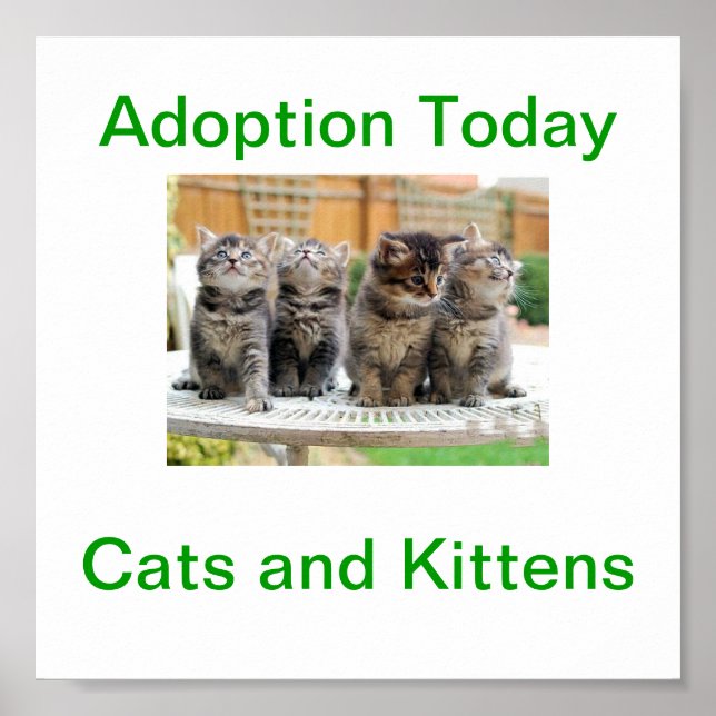 Cat & Kitten Adoption Today Sign (Front)