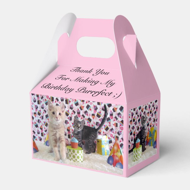 Cat / Kitten Birthday by Patton & Buffington  Favour Box (Front Side)