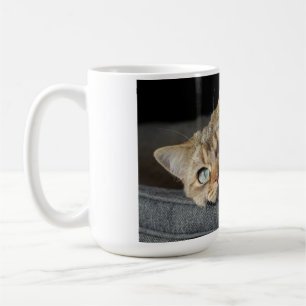 Cat, Kitten, British shorthair Coffee Mug