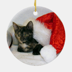 Cat, Kitten, Christmas, Rescue Ceramic Ornament