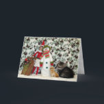 Cat, Kitten, Christmas, Rescue, Photo Holiday Card<br><div class="desc">This tired little kitten worked hard all day today posing for photographs so he could help spread Christmas cheer!</div>
