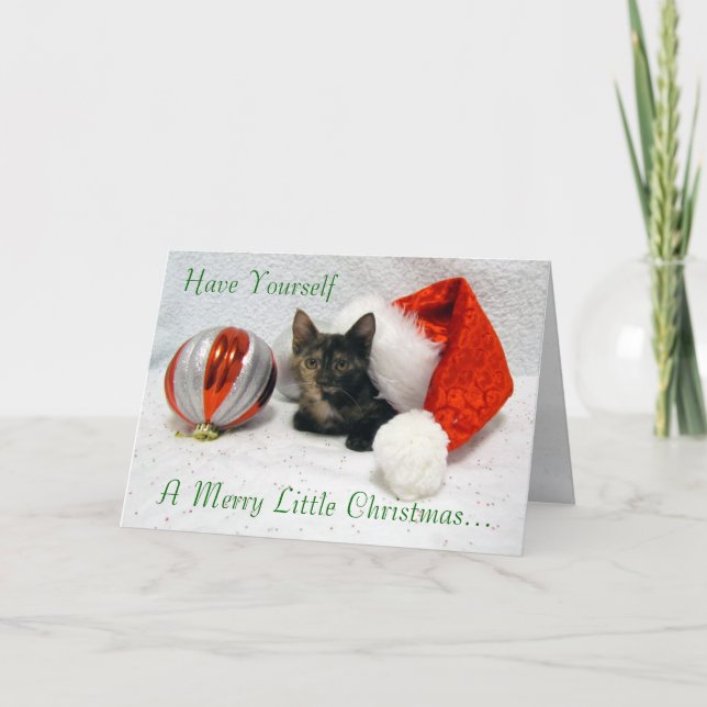 Cat, Kitten, Christmas, Rescue, Photo Holiday Card (Front)