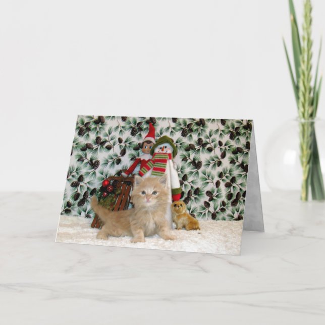 Cat, Kitten, Christmas, Rescue, Photo Holiday Card (Front)