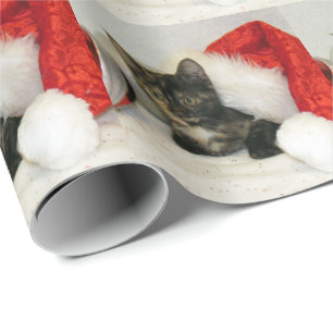 Cat, Kitten, Christmas, Rescue, Photo Wrapping Paper