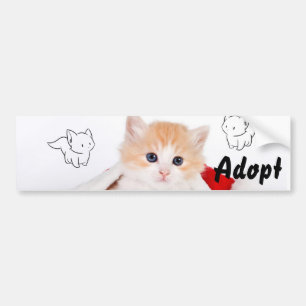 Cat Kitten Dog Adopt Bumper Sticker