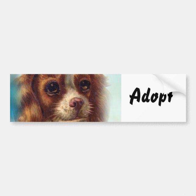Cat Kitten Dog Adopt Bumper Sticker (Front)