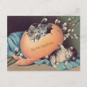 Cat Kitten Easter Coloured Egg Cotton Holiday Postcard