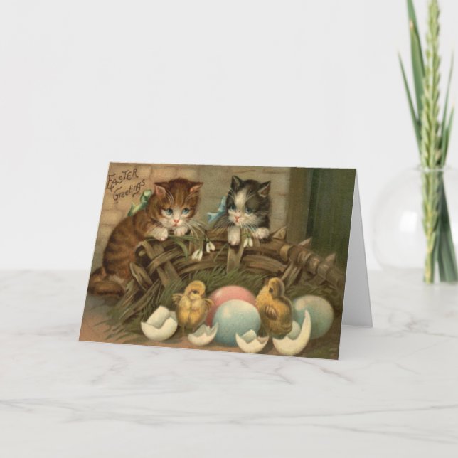 Cat Kitten Easter Coloured Painted Egg Chick Holiday Card (Front)