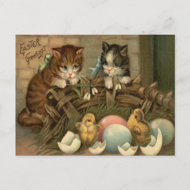 Cat Kitten Easter Coloured Painted Egg Chick Holiday Postcard (Front)