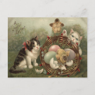 Cat Kitten Easter Coloured Painted Egg Chick Holiday Postcard