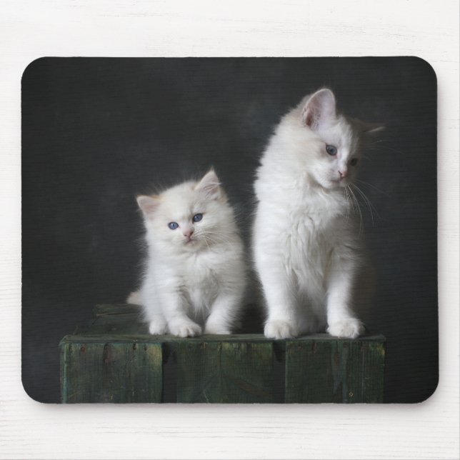 cat, kitten, feline mouse pad (Front)