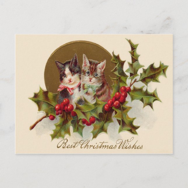 Cat Kitten Holly Winterberry Holiday Postcard (Front)