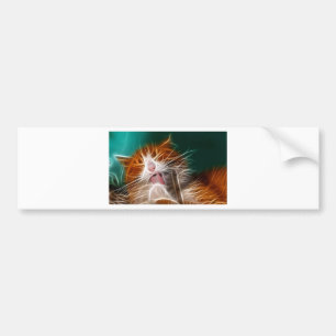 cat kitten kitties cute pet purr meow bumper sticker