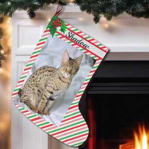Cat Kitten Photo Cute Christmas Stocking Add Name