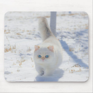Cat, Kitten, Snow Mouse Pad