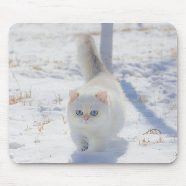 Cat, Kitten, Snow Mouse Pad (Front)