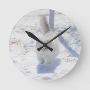 Cat, Kitten, Snow Round Clock