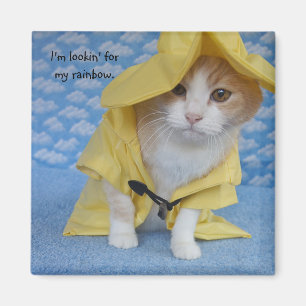 Cat/Kitty in Yellow Slicker Raincoat Magnet