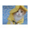Cat/Kitty in Yellow Slicker Raincoat