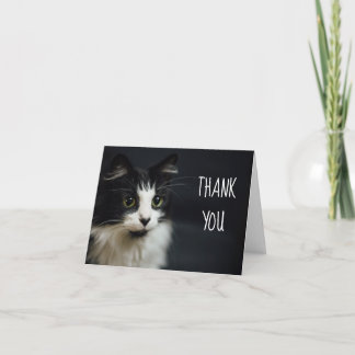 Cat, Kitty, Thank You Small Notecard