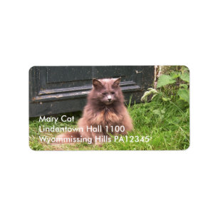 Cat 'Kyra' sitting in the grass Label