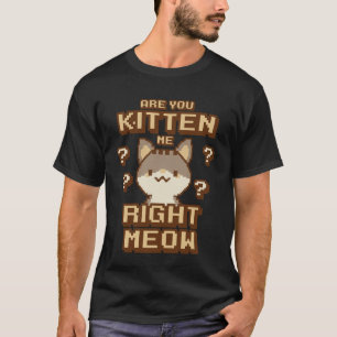 Cat Lady are You Kitten Me Cat Joke Cat Humour T-Shirt