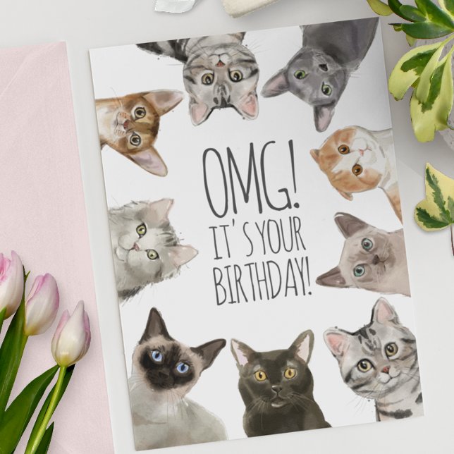Cat Lady Birthday | OMG! It's Your Birthday Funny Card (Creator Uploaded)