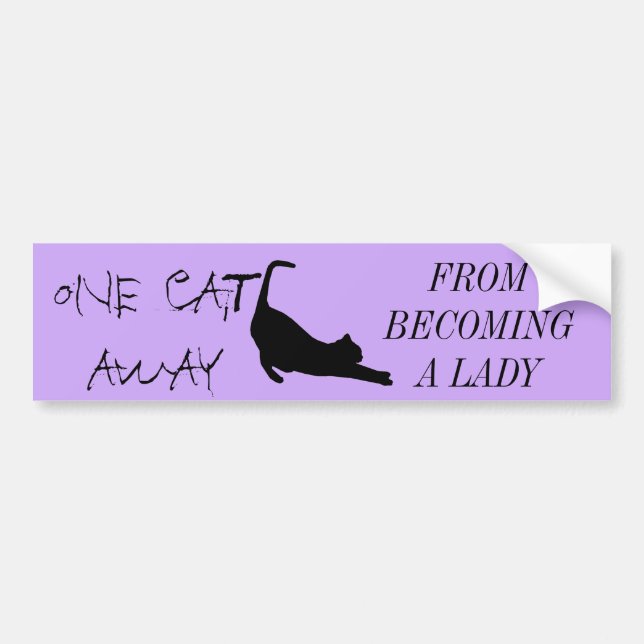 CAT LADY BUMPER STICKER (Front)