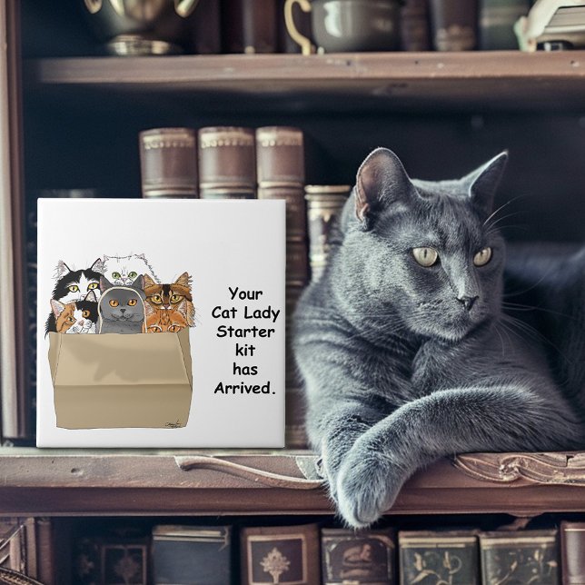 Cat Lady Starter Kit Ceramic Tile (Creator Uploaded)
