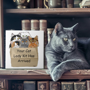 Cat Lady Starter Kit Ceramic Tile