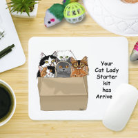 Cat Lady Starter Kit