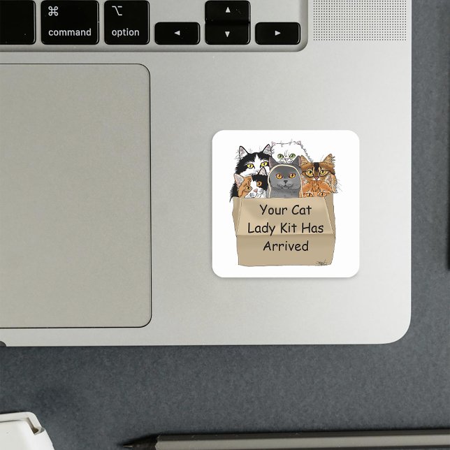 Cat Lady Starter Kit Square Sticker (Creator Uploaded)