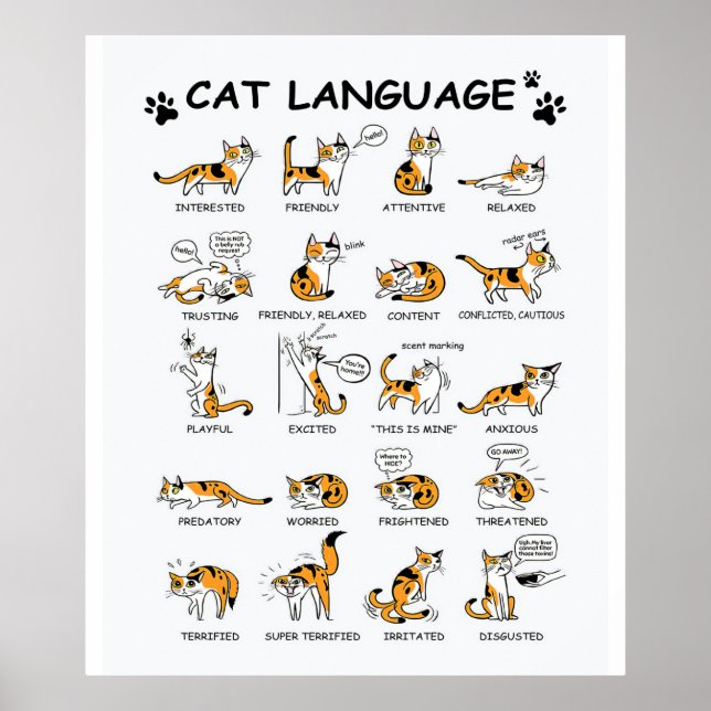 Cat Language, Funny Cat Kitten, Love Cat Gift Idea Poster (Front)