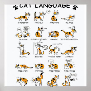 Cat Language, Funny Cat Kitten, Love Cat Gift Idea Poster
