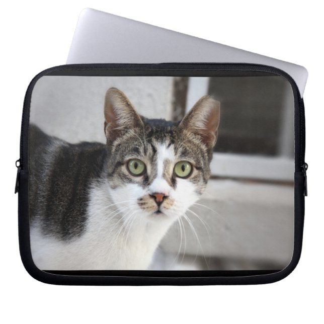 Cat Laptop Sleeve (Front)