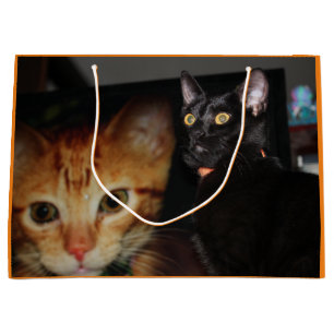 Cat Large Gift Bag