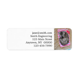 Cat lay on the beach return address label