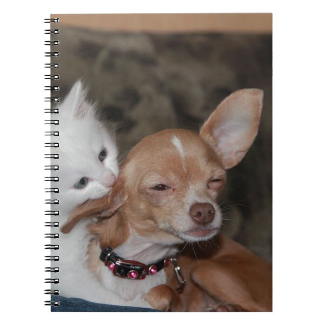 Cat licking Dog Notebook (Front)