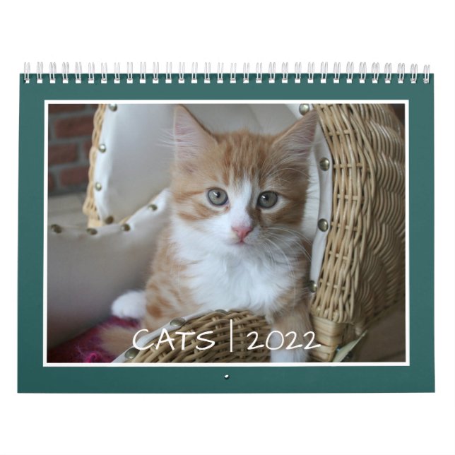 Cat Life  Calendar (Cover)
