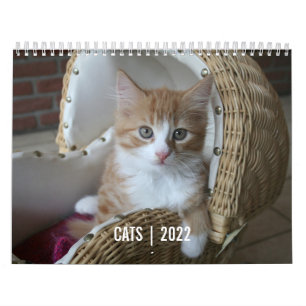 Cat Life  Calendar