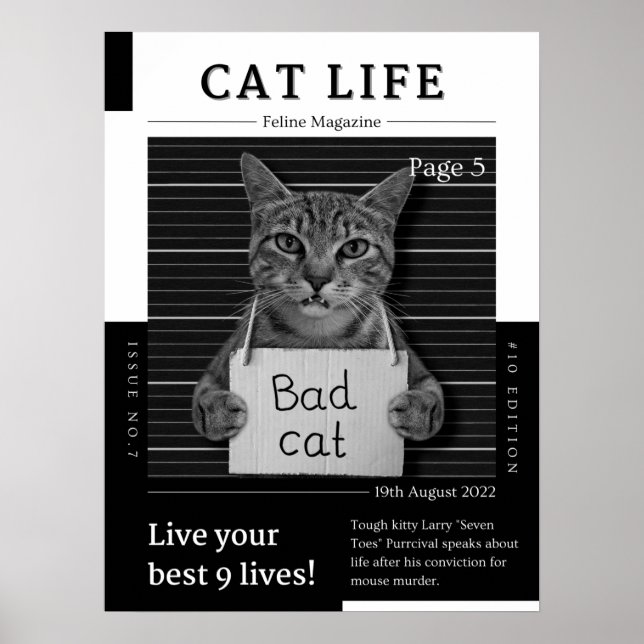 CAT LIFE Magazine Poster (Front)