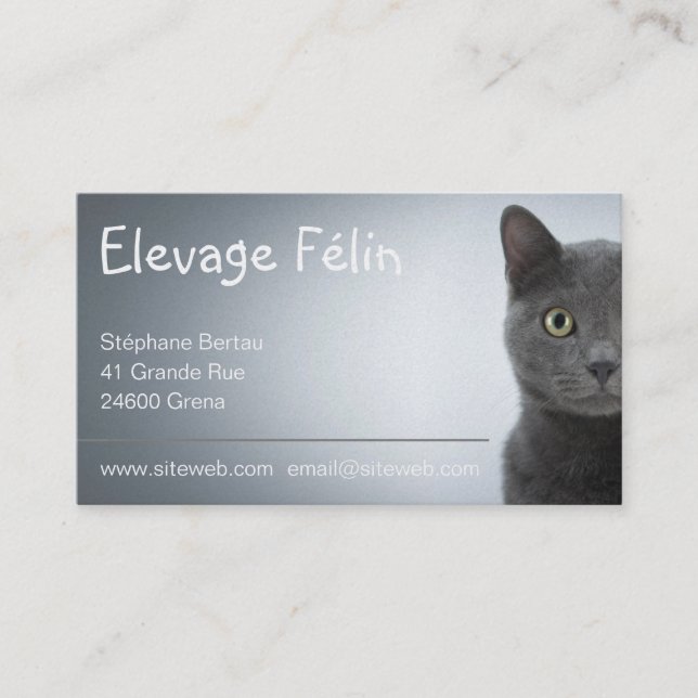 Cat-like breeding, calling card cat (Front)