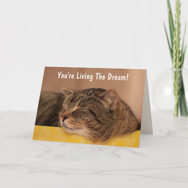 Cat Living The Dream Birthday Card (Front)