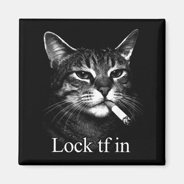 Cat Lock Tf in Funny Magnet (Front)