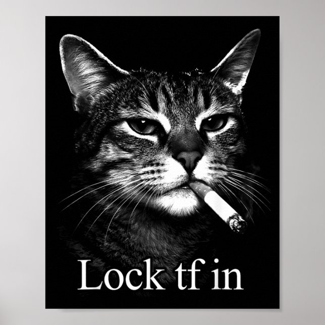 Cat Lock Tf in Funny Poster (Front)